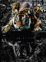 game pic for Amazing Tiger